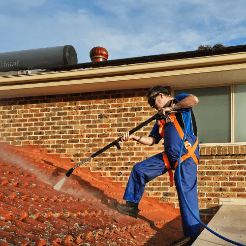 Solar Panel cleaning